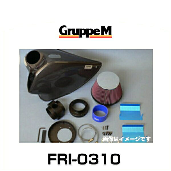 GruppeM グループエム FRI-0310 RAM AIR SYSTEM ラムエアシステム BMW用