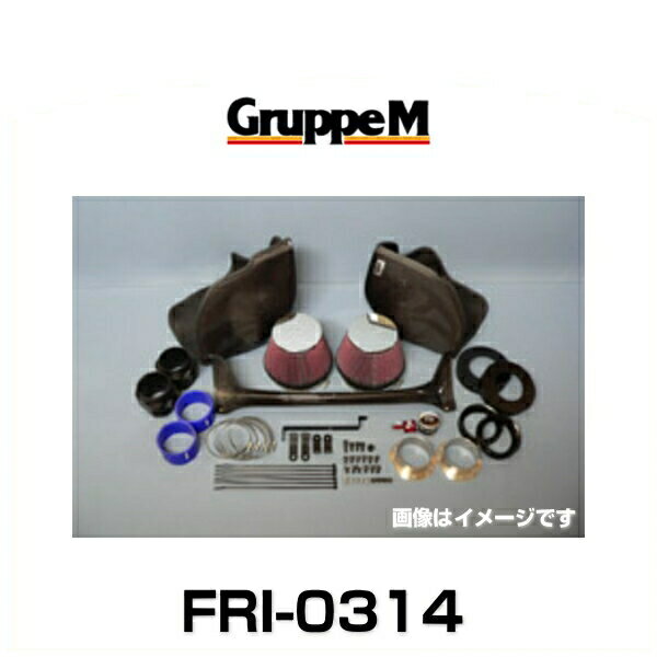 GruppeM グループエム FRI-0314 RAM AIR SYSTEM ラムエアシステム BMW用