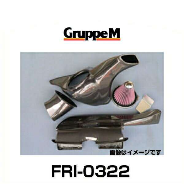 GruppeM グループエム FRI-0322 RAM AIR SYSTEM ラムエアシステム BMW用