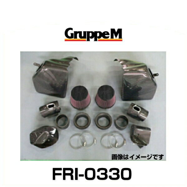 GruppeM グループエム FRI-0330 RAM AIR SYSTEM ラムエアシステム BMW用