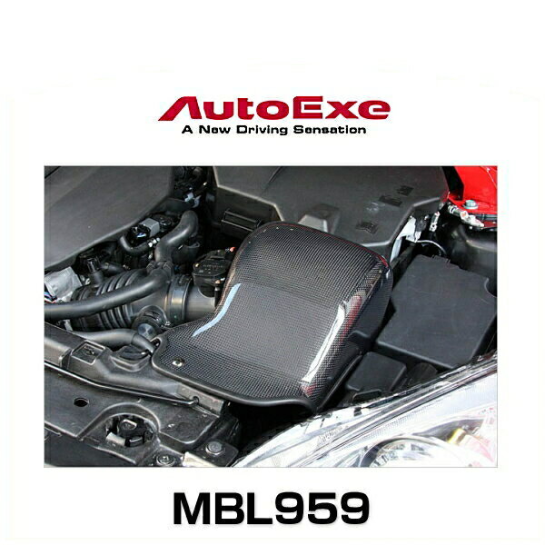 AutoExe オートエクゼ BLA2V5900（MBL959） ラムエアーインテークシステム アクセラ（BLEFW/BLEFP）