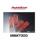 AutoExe オートエクゼ MBM7300 ローダウンスプリング アクセラ(BMLFS)