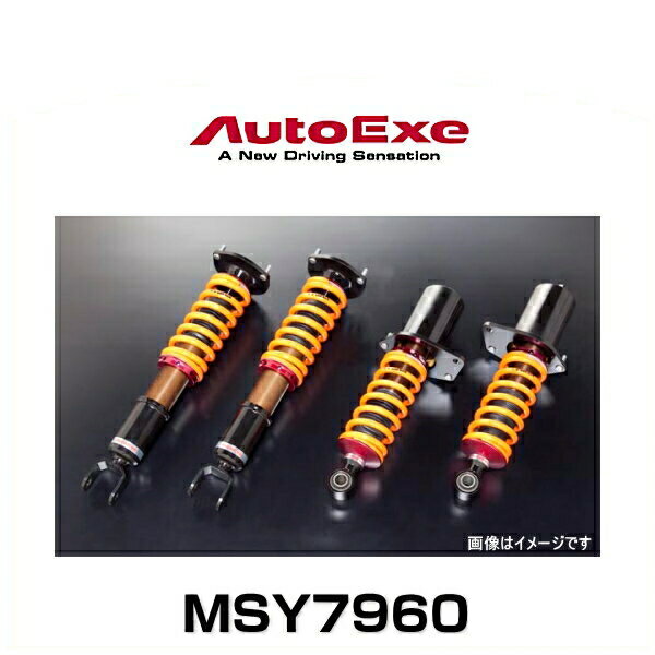 AutoExe オートエクゼ MSY7960 全長車高調整式アルティメットスポーツサスキット RX-8（SE3P-300001～）