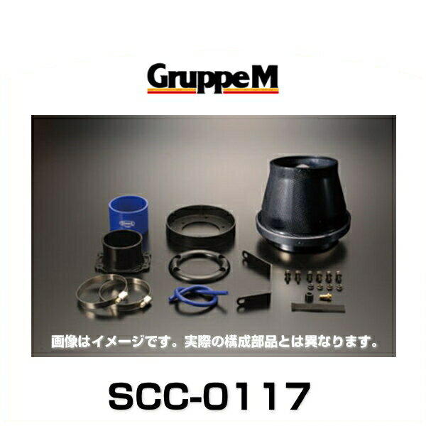 GruppeM グループエム SCC-0117 SUPER CLEANER CARBON スーパークリーナーカーボン トヨタ