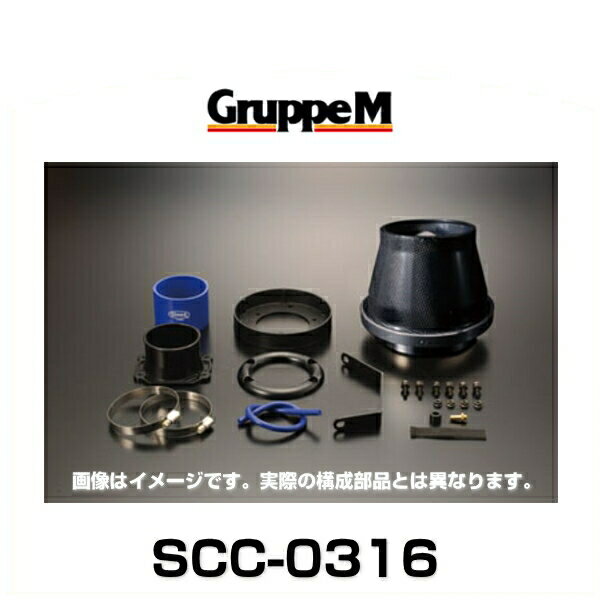 GruppeM グループエム SCC-0316 SUPER CLEANER CARBON スーパークリーナーカーボン トヨタ