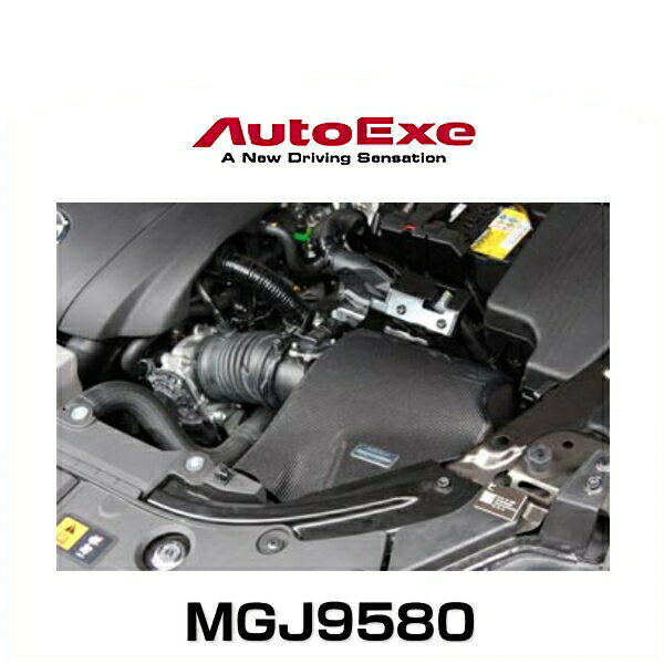 AutoExe オートエクゼ MGJ9580 ラムエアーインテークシステム アテンザ(GJ5FP/GJ5FW) ※ガソリンエンジン2.5L車用