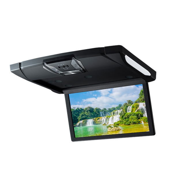 ALPINE アルパイン RSH10XS-R-B 10.1型WSVGA スリムリアビジョン （ルームライト有モデル/本体色：ブラ..