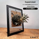 【オーダーサイズ注文可能】エキスパンドスタンド 25.5cm×34.8cm 卓上ディスプレイスタンド 観葉植物掛け キーホルダー掛け 送料無料 アイアン雑貨 エキスパンドメタル エキスパンドスタンド ディスプレイスタンド