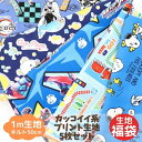 【生地福袋】 【1m生地(キルト50cm)】 【訳あり】5枚セット カッコイイ系 プリント生地 生地幅あり 布 子供向け生地 ※キルトは入らない場合もあり