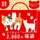 2025年 にくきゅう スペシャル 福袋 ねこグッズ 4点セット キャットドアフック マグネットフッククリップ スティッキーフックポケット NECOカイロ 柄ラ...