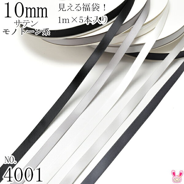 10mm サテンリボンアソート セット 1mx5本 030.012.029.007.077 黒・白・モノトーン系（4001）