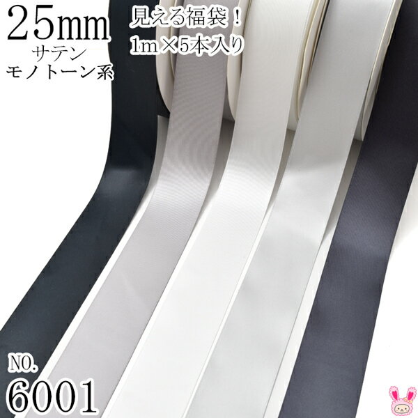 25mm サテンリボンアソート セット 1mx5本 030.012.029.007.077 黒・白・モノトーン系 （6001）