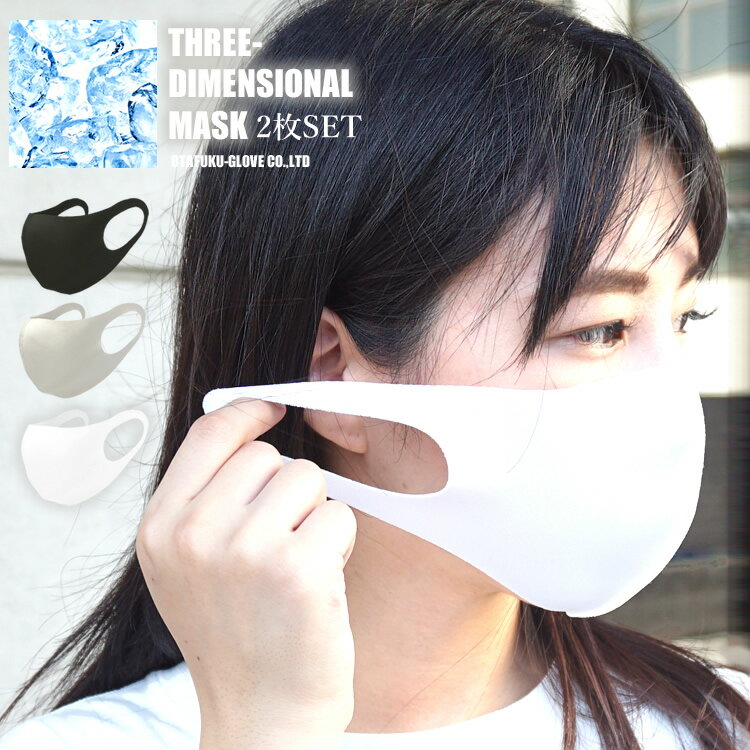 マスク 冷感マスク 2枚セット クールマスク 接触冷感 吸汗速乾 洗えるマスク 涼しい 涼感 UV対策 立体 飛沫 冷感立体マスク ひんやり N-8998【ネコポス対応】