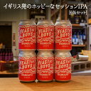 ＼父の日母の日ギフト先行受付中！のし無料／YEASTIEBOYS BIGMOUTH 6缶セット