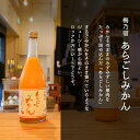 ＼父の日母の日ギフト先行受付中！のし無料／梅乃宿 あらごしみかん酒 720ml