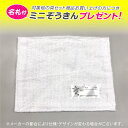 絵の具セット 小学校 女の子 小学生 画材セット コットンキャンディー (ミニぞうきん付き) 絵具セット おしゃれ シンプル 女子