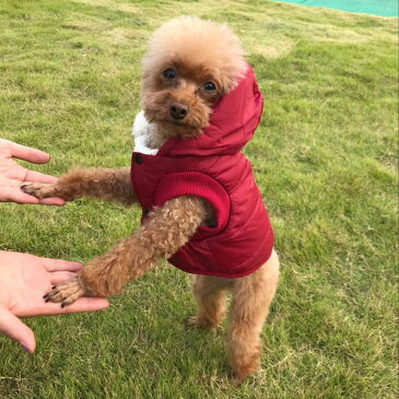 犬服 セール ダウン 風 ジャケット 暖かい 裏起毛 冬服 犬 服 安い 寒さ対策 防寒 散歩 軽い あったか 柔らかい かわいい チワワ トイプー ドッグウェア ドッグ ウェア おすすめ アウター 上着 誕生日 プレゼント ギフト 男の子 女の子 人気 ダウンジャケット 赤 青 ピンク