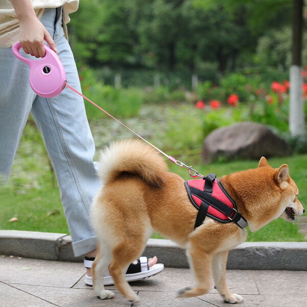 楽天市場 伸縮リード 犬 リード 伸びる 長い 強い 丈夫 散歩 グッズ 自動 巻き取り おすすめ 春 春用 お得 かわいい ペット用品 誕生日 ギフト プレゼント 男の子 女の子 可愛い ペットグッズ セール おしゃれ 旅行 散歩 お出かけ 人気 安い 便利