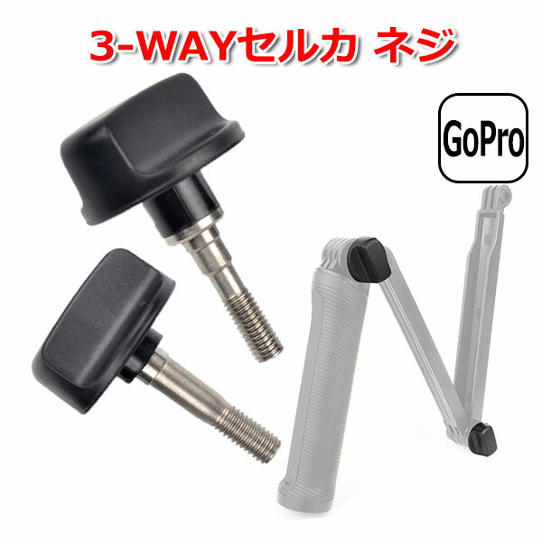 【100円引クーポン配布中＋ポイント最大21倍】GoPro 