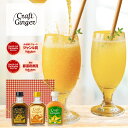 【ギフト 包装】\送料無料/ ジンジャーシロップ 飲み比べ セット Craft Ginger S・M・Y 200ml x 3本セット 贈答用 国産 無添加 生姜シロップ 生姜湯 しょうが湯 ジンジャーエール 生姜 温活 健康 プレゼント クラフトジンジャー