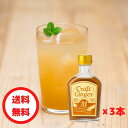 【お得なまとめ買い】Craft Ginger M 200ml×3 送料無料 国産 生姜シロップ 無添加 無着色 しょうが ショウガ ジンジャーエール クラフトジンジャー 簡単 希釈 炭酸 おしゃれ かわいい 温活 冷え性 お取り寄せ 誕生日 おうち時間