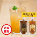 【クーポンで500円OFF】【2種類から選べる】 Craft Ginger S or M 300ml 簡易包装 パウチ 国産 無添加 生姜シロップ 希釈 ジンジャーエール クラフトジンジャー 生姜湯 調味料 温活 冷え性 業務用 大容量 お得用 訳あり お買い得 ポイント消化 買い回り