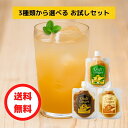 【3種類から選べる】【送料無料】Craft Ginger S・M・Y 80ml × 2 国産 ジンジャーシロップ お試し こだわり 無添加 ジンジャーエール クラフトジンジャー 生姜湯 おしゃれ プチプラ 温活 健康 冷え性 買い回り ポイント消化 ポスト投函