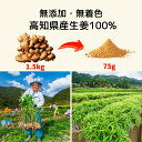 【高評価 レビュー ★4.6以上 楽天1位獲得】【国産 無添加 濃さ450倍】 Craft Ginger Powder 75g ジンジャーパウダー 無添加 無着色 生姜パウダー 高知県産 生姜 粉末 クラフトジンジャー 冷え 温活 簡単 時短 コスパ タイパ 料理 メール便 ポスト投函 3