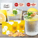 \まとめ買い/ 【高知県産 無添加 濃さ450倍】 Craft Ginger Powder 75g x 2袋 送料無料 ジンジャーパウダー 国産 生姜パウダー クラフトジンジャー 生姜 粉末 冷え性 冷え 冷え対策 温活 健康 簡単 時短 料理 コスパ タイパ メール便