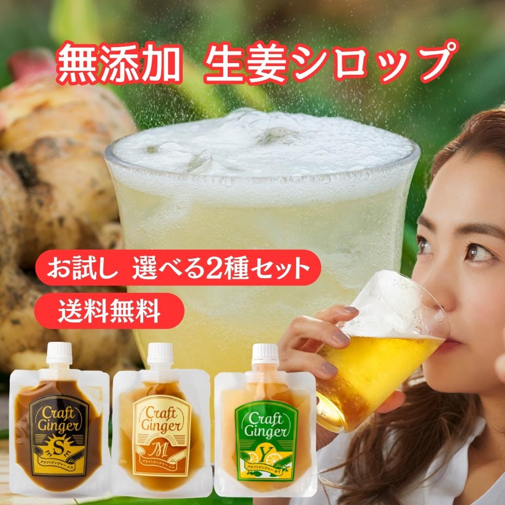 【初めての方限定】【お一人様2セットまで】生姜シロップ 80ml × 2 送料無料 国産 無添加 ジンジャーシロップ お試し…