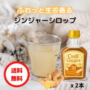 ＼お得なまとめ買い／ Craft Ginger M 200ml×2 送料無料 ジンジャーシロップ 国産 無添加 無着色 生姜シロップ 簡単 …