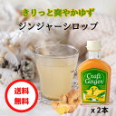 ＼お得なまとめ買い／ Craft Ginger Y ゆず 200ml 2本 送料無料 ジンジャーシロップ 無添加 無着色 保存料不使用 生姜シロップ 希釈 炭酸 ジンジャーエール 高知 生姜 ゆず ゆず茶 簡単 温活 …