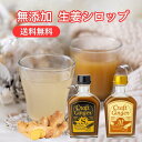 【ヒルナンデス！紹介】【簡易包装】 Craft Ginger S＆M 200ml ジンジャーシロップ 送料無料 国産 無添加 生姜シロッ…