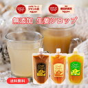 【40%OFF】\1番お得な大容量タイプ/ 【3種類から選べる】 クラフト ジンジャーシロップ 300ml× 2 送料無料 国産 無添加 選べる 生姜シロップ 簡易包装 craft ginger シロップ ジンジャーエール 生姜湯 しょうが湯 ゆず湯 温活 生姜 柚子
