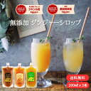\3種類から選べる/ クラフト ジンジャーシロップ 200ml × 3 【パウチタイプ】簡易包装 送料無料 国産 無添加 選べる 生姜シロップ craft gi...