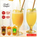\3種類から選べる/ クラフト ジンジャーシロップ 200ml × 10 【パウチタイプ】簡易包装 送料無料 国産 無添加 選べる 生姜シロップ craft ginger シロップ ジンジャーエール 生姜湯 しょうが湯 ゆず湯 温活 生姜 柚子