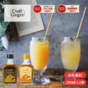 \ヒルナンデス!紹介/【簡易包装】 Craft Ginger S&M 200ml ジンジャーシロップ 送料無料 国産 無添加 生姜シロップ 辛口 ジンジャーエー...