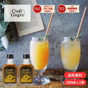 \まとめ買い/ Craft Ginger S 200ml×2 送料無料 ジンジャーシロップ 国産 無添加 辛口 生姜シロップ 簡単 希釈 炭酸 ジンジャーエール...