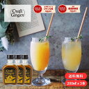 \まとめ買い/ Craft Ginger S 200ml×3 送料無料 ジンジャーシロップ 国産 無添加 生姜シロップ 簡単 希釈 炭酸 辛口 ジンジャーエール...