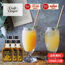 \まとめ買い/ Craft Ginger S 200ml×5 送料無料 ジンジャーシロップ 国産 無添加 生姜シロップ 簡単 希釈 炭酸 辛口 ジンジャーエール...