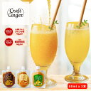 \3種 全フレーバー お試しセット/【初めての方限定】【お一人様1セット限り】Craft Ginger S・M・Y 80ml 送料無料 生姜シロップ 国産 無添...