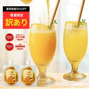 【訳あり】【通常価格50%OFF】Craft Ginger M 80ml×2【賞味期限2025年7月】在庫処分 送料無料 国産 ジンジャーシロップ 生姜シロップ 無添加 お試し こだわり ジンジャーエール クラフトジンジャー シロップ ジュース 生姜湯 ポイント消化 メール便 ポスト投函 フードロス