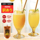 【訳あり】【在庫限りで販売終了】Craft Ginger S 300ml 送料無料 簡易包装 パウチ 国産 無添加 生姜シロップ 希釈 ジンジャーエール 生姜湯 辛口 製菓材料 料理 調味料 温活 冷え性 エコ 業務用 大容量 お得用 お買い得 ポイント消化 買い回り