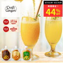 【44%OFF ★ 1000円ポッキリ】\全フレーバー お試しセット/ 選べる 生姜シロップ 80ml × 3 送料無料 国産 無添加 ジンジャーシロップ 無加水 ジンジャーエールの素 高知県産 しょうが 濃縮 希釈 炭酸 ドリンク 辛口 ジンジャーエール 生姜湯 ゆず茶 温活