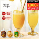 【1000円ポッキリ】\選べる/ 生姜シロップ 80ml × 2 送料無料 国産 無添加 ジンジャーシロップ お試し セット 無加水 ジンジャーエールの素 高知...