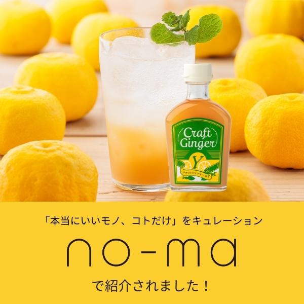 【1,800円OFF】【お得なまとめ買い】Craft Ginger S 200ml×3 送料無料 国産 生姜シロップ 無添加 無着色 しょうが ショウガ ジンジャーエール クラフトジンジャー 辛口 生姜粉末 簡単 希釈 炭酸 おしゃれ かわいい 温活 冷え性 お取り寄せ おうち時間 セール