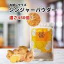 【クーポン500円 ワンコイン！】【お試しサイズ】【無添加 濃さ450倍】 Craft Ginger Powder 25g ジンジャーパウダー 楽天限定 生姜パウダー 無添加 高知県産 国産 生姜 粉末 冷え 温活 時短 料理 コスパ タイパ メール便 ポスト投函