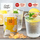 \お試しサイズ/ 【無添加 濃さ450倍】 Craft Ginger Powder 25g ジンジャーパウダー 生姜パウダー 無添加 高知県産 クラフトジンジャー 国産 生姜 粉末 冷え性 冷え 冷え対策 温活 時短 料理 コスパ タイパ 訳あり メール便