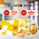 ＼しょうが3種 Bセット／ ●  国産 無添加 ジンジャーシロップM 80ml ● 生姜パウダー 75g ● 生姜ファイバー 25g