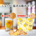 ＼セットがお得！／ 【お試しサイズ】生姜パウダー 25g ＆ 食物繊維 25g セット 送料無料 ジンジャーパウダー 無添加 無着色 乾燥しょうが 高知県産 国産 生姜 粉末 ファイバー クラフトジンジャー 温活 冷え 腸活 SDGs ヘルシー すっきり メール便 ポスト投函